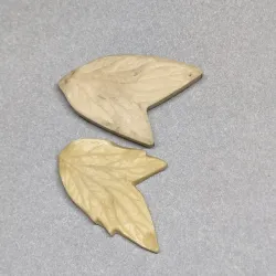 06 mold