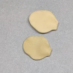 09 mold