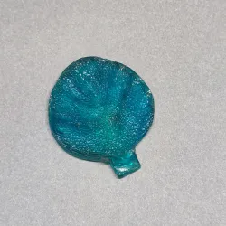 10 mold