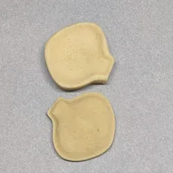 12 mold