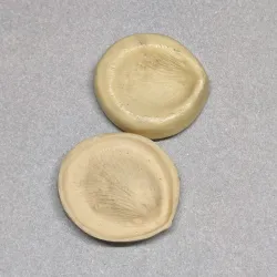 16 mold
