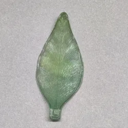 17 mold