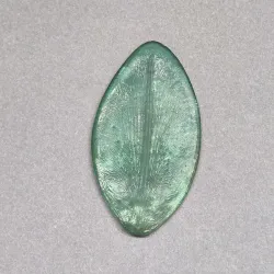 18 mold