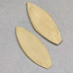 19 mold