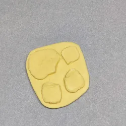 20 mold