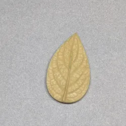 21 mold