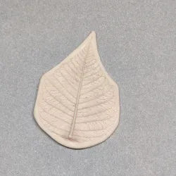 25 mold