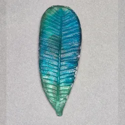 25 mold