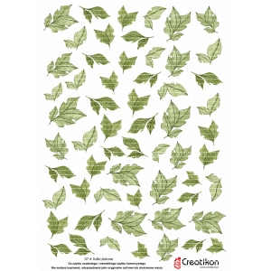 07-04 arkusz zielone listki - plik PDF
