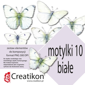 zestaw 10 motylki białe - pojedyncze pliki PNG